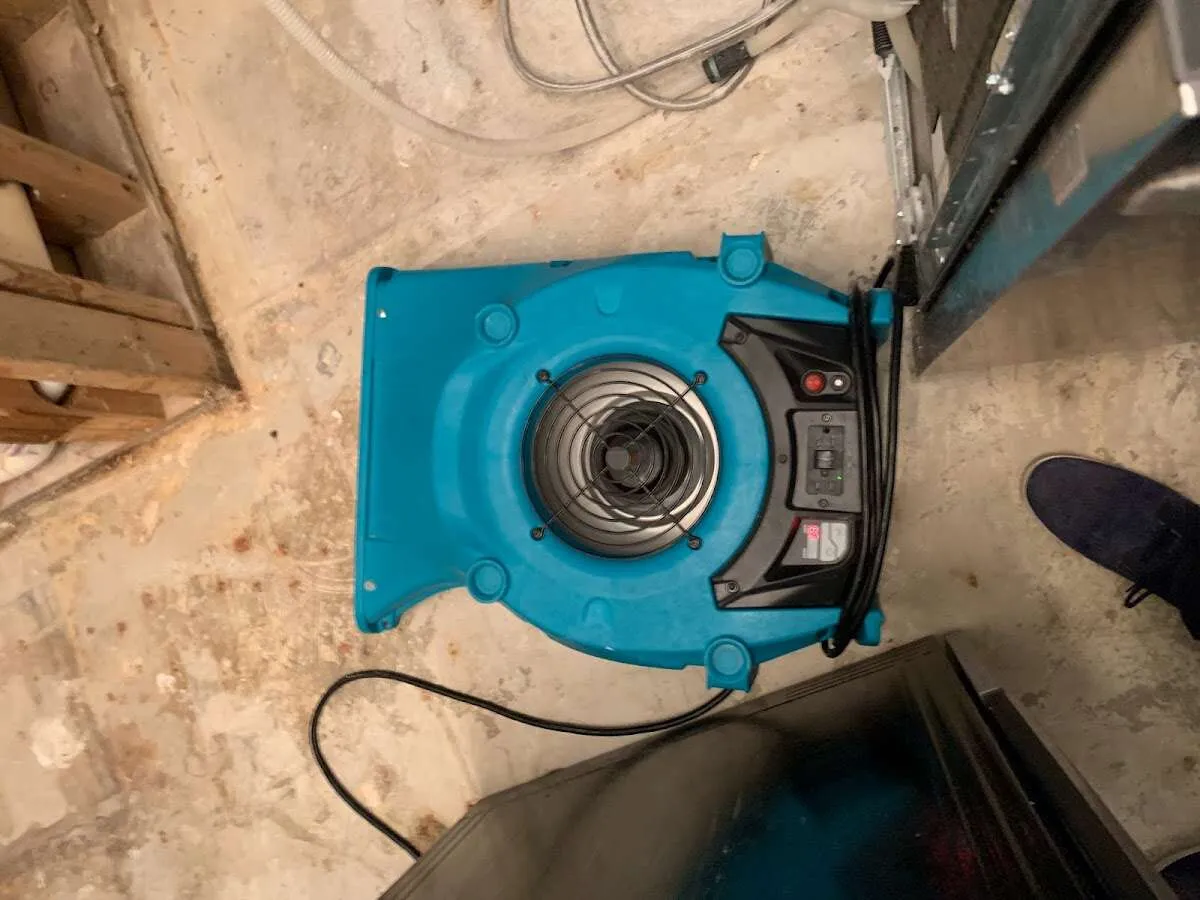 Air mover drying equipment for Mold Remediation & Removal in Newfane
